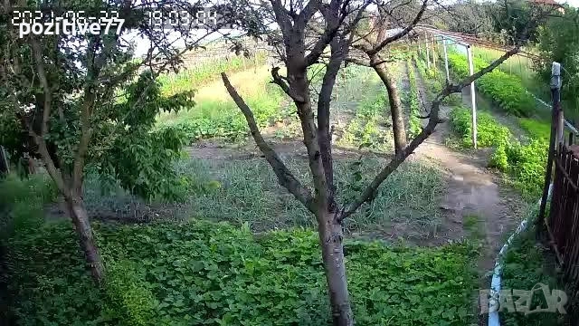 Продавам Имот с Вила на Кенана -Хасково, снимка 16 - Вили - 51552839