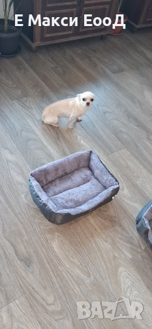 Легълце за кучета,котки,домашни любимци,чихуахуа, снимка 3 - За кучета - 53096598