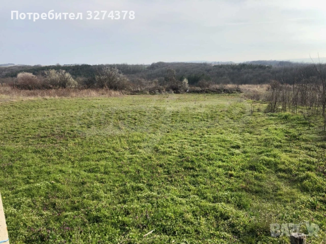 Парцел с потенциал: 2 дка в близост до Карадере (директна продажба), снимка 3 - Парцели - 53616930