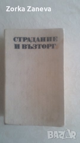 Страдание и възторг, снимка 1 - Художествена литература - 41652310