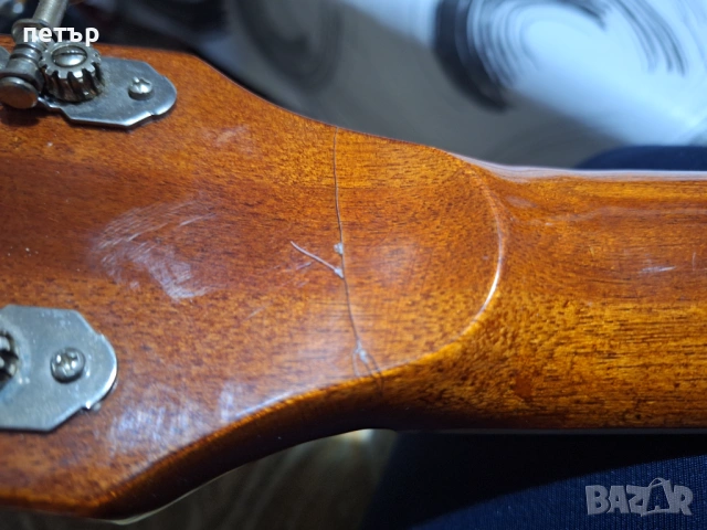 Класическа 12струнна китара ЕКО, снимка 17 - Китари - 48349678