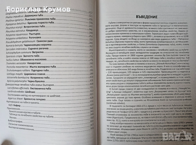Лечебните гъби в България - Владимир Въжаров, снимка 4 - Енциклопедии, справочници - 52776002