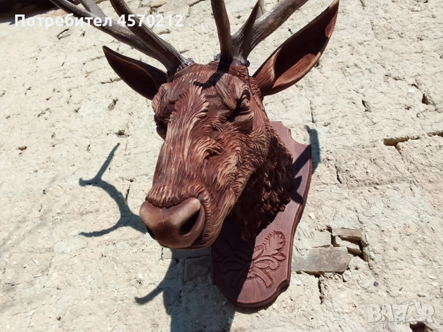 Ловен трофей от благороден елен, Поставка за еленски рога, Дърворезба за механа, Подарък за ловец  , снимка 6 - Декорация за дома - 51578899