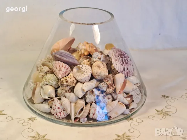 масивна стъклена купа с колекция морски миди, рапани и охлюви   7/4, снимка 2 - Колекции - 49855012