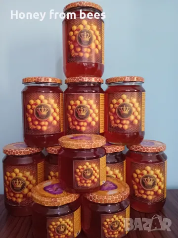 Мед от Пчели, снимка 4 - Пчелни продукти - 41579311
