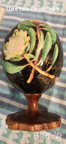 ръчно декорирано щраусово яйце, снимка 4 - Декорация за дома - 47334140