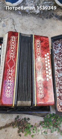 Акордеон 