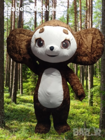 🎁Изненада с гигантска бяла мечка🐻‍❄️, панда🐼, котка🐱, Стич🐾 или Чебурашка🐭, снимка 5 - Други услуги - 52303202