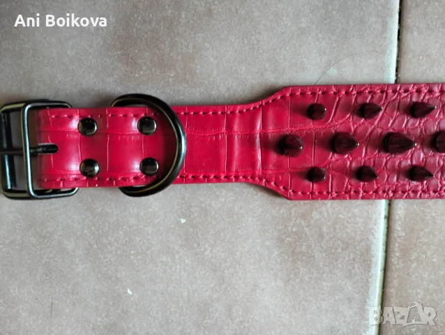 Много голям нашийник с шипове, снимка 6 - За кучета - 49375648