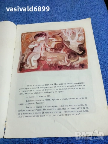 Таня Касабова - Розка , снимка 6 - Детски книжки - 53568616