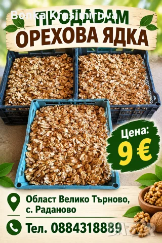 продавам орехова ядка 