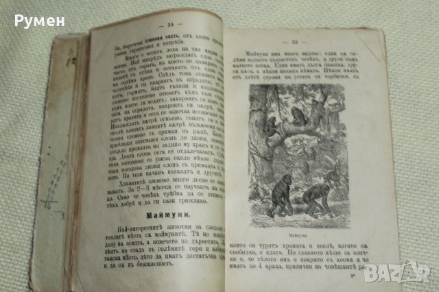 Естествознание / 1902 г./, снимка 6 - Антикварни и старинни предмети - 40329024