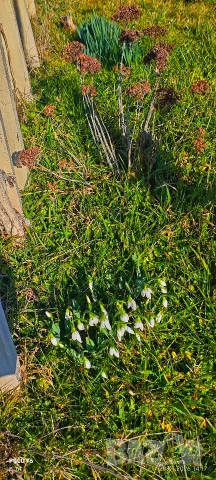 Декоративен Кладенец , снимка 6 - Градински мебели, декорация  - 53115484