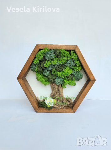 Рамка шестоъгълник с Дърво Скандинавски мъх , снимка 4 - Декорация за дома - 41650487