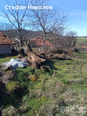 Продава дворно място и къща, снимка 6 - Парцели - 53664063