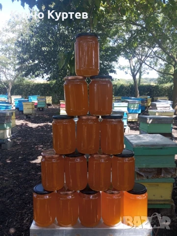Продавам пчелен мед - кориандър, снимка 5 - За пчели - 50888762