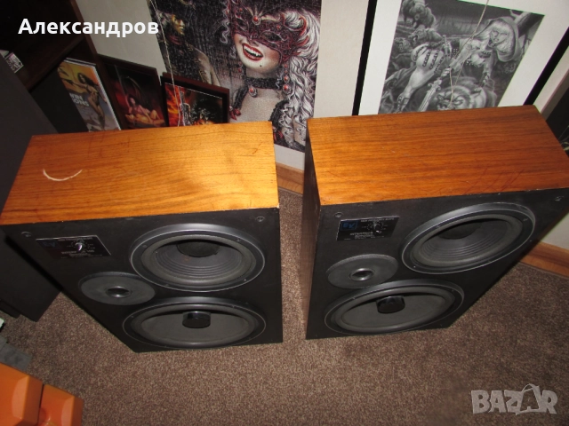 Продавам американски колони Electro-Voice interface 100, снимка 3 - Тонколони - 52246932