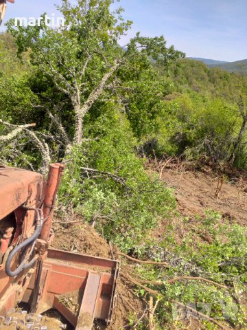 Почистване на пасища, снимка 3 - Селскостопанска техника - 39630131