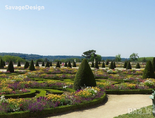 Професионално поддържане на градини с топ техника – най-добрите цени в България!, снимка 4 - Други услуги - 53111271