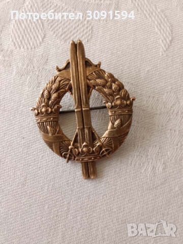 Колекционерска значка ,шведска военна ски част ,Втората световната, снимка 2 - Антикварни и старинни предмети - 44715706