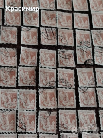 Czechoslovakia Medicin Doctor 1954 г. 225 бр. , снимка 11 - Филателия - 53174260