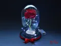 Вечна Роза в ГОЛЯМА Стъкленица с опция за БЕЗПЛАТНИ LED Светлини/ Подарък за Рожден Ден на Съпругата, снимка 2