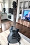 Epiphone Goth Les Paul Studio, 2012, Korea, снимка 2