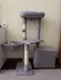 катерушка за коте с подарък, снимка 2