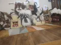 Изработка на Сурвакарски/кукерски маски, снимка 3