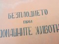 БЕЗПЛОДИЕТО ПРИ ДОМАШНИТЕ ЖИВОТНИ 1401251822, снимка 7