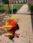 Детска триколка , снимка 1 - Детски велосипеди, триколки и коли - 41162867