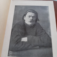 Максим Горки разкази на руски език, снимка 4 - Чуждоезиково обучение, речници - 36349583