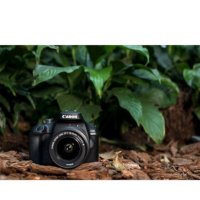 Фотоапарат DSLR Canon EOS 4000D,18.0 MP, Черен + Обектив EF-S 18-55 мм F/3.5-5.6 III Черен + Чанта +, снимка 11 - Фотоапарати - 42049719