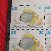 Пощенски марки АКВАРИУМНИ РИБКИ чисти без печат поща КУБА за КОЛЕКЦИЯ 37893, снимка 5 - Филателия - 40454586