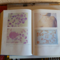 "Детски болести" Учебник за студенти медици, снимка 4 - Специализирана литература - 36356974
