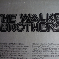 THE WALKER BROTHERS, снимка 4 - Грамофонни плочи - 36298841