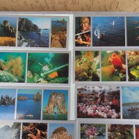 Лот от 23 бр. картички "Залив Петра Великого", снимка 6 - Филателия - 35973470