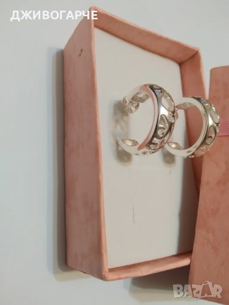 Нови, сребърни обеци. Поставени в подаръна кутия., снимка 1