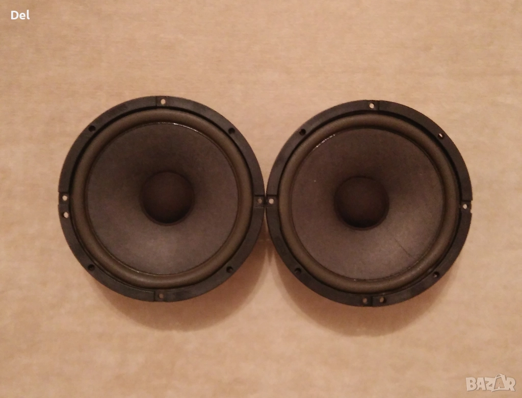 Аудакс, снимка 1