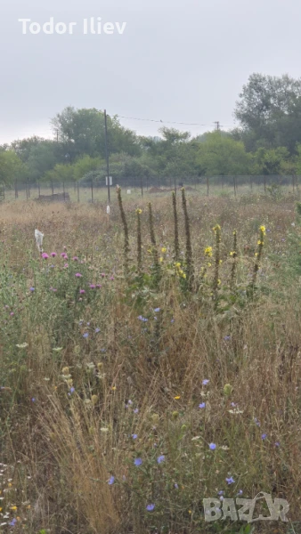 Продавасе парцел в с.Трудовец, снимка 1