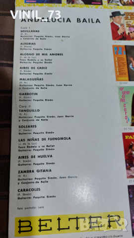 Andalucia Baila, снимка 3 - Грамофонни плочи - 36354466