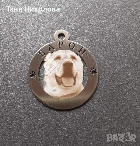 🐾 Медальони за кучета 
, снимка 3 - За кучета - 51631897
