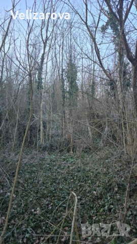 Къща в с. Лазарово, област Плевен, снимка 2 - Къщи - 50230585