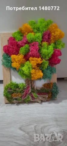 Дърво от скандинавски мъх в рамка, снимка 16 - Декорация за дома - 47986453