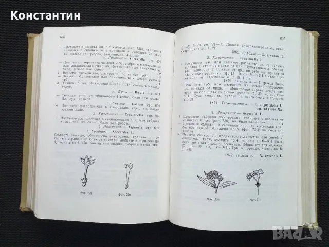 Екскурзионна флора на България , снимка 2 - Специализирана литература - 50051042
