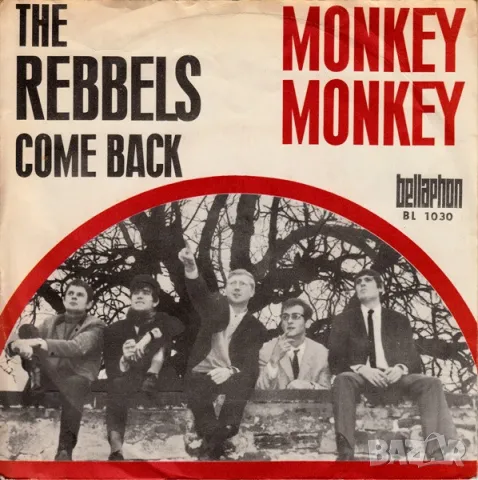 Грамофонни плочи The Rebbels ‎– Monkey Monkey 7" сингъл, снимка 1 - Грамофонни плочи - 49455892