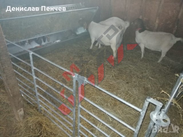 Прегради за овце и кози, снимка 8 - За селскостопански - 34655271