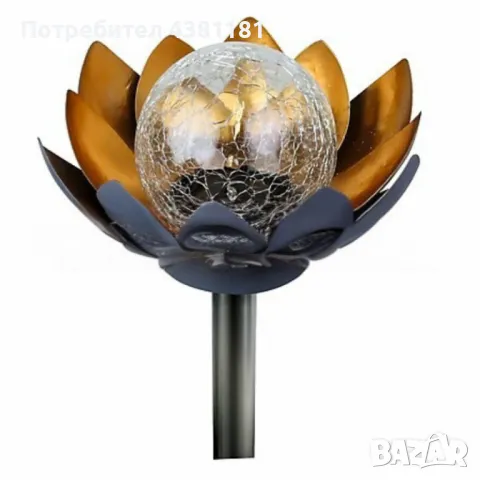 Соларни лотосови цветя – Красота и светлина за вашата градина