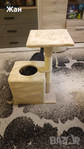 Котешка катерушка, снимка 3 - За котки - 53385916