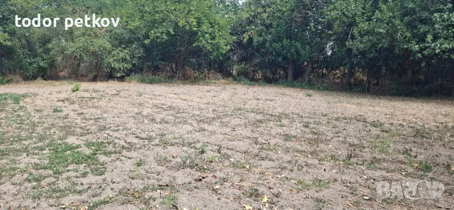 Дворно място в село Манолско Конаре , снимка 10 - Парцели - 56149259